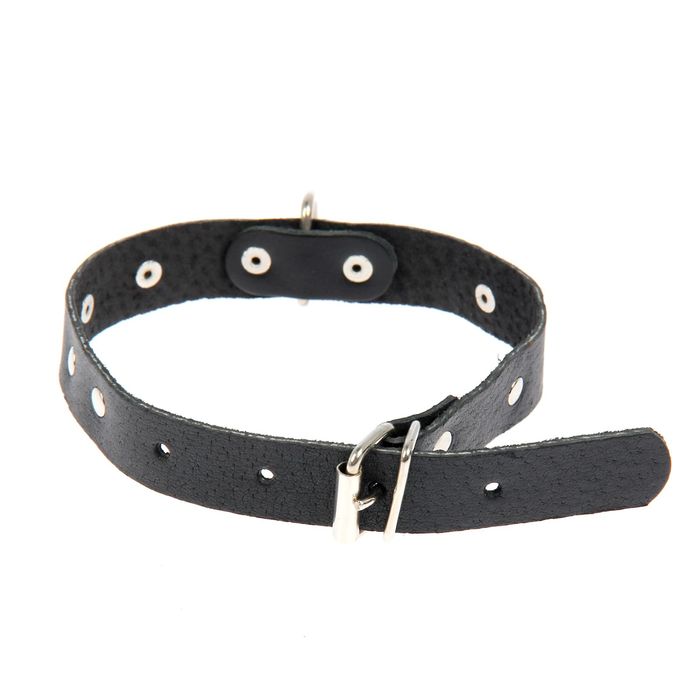 Ошейник кожаный однослойный украшенный, 41 х 2 см