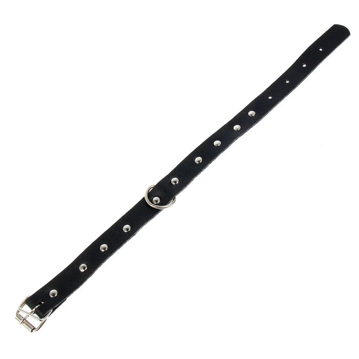 Ошейник кожаный однослойный украшенный, 41 х 2 см