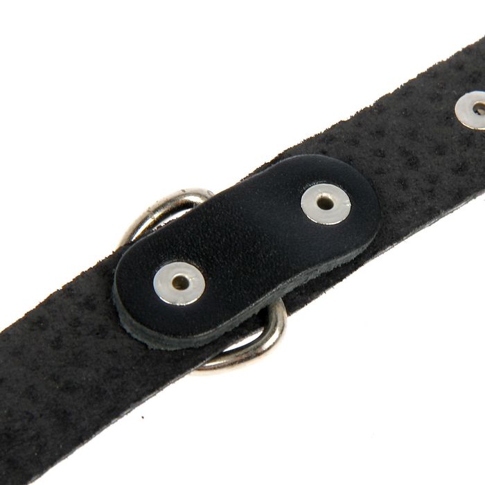 Ошейник кожаный однослойный украшенный, 41 х 2 см