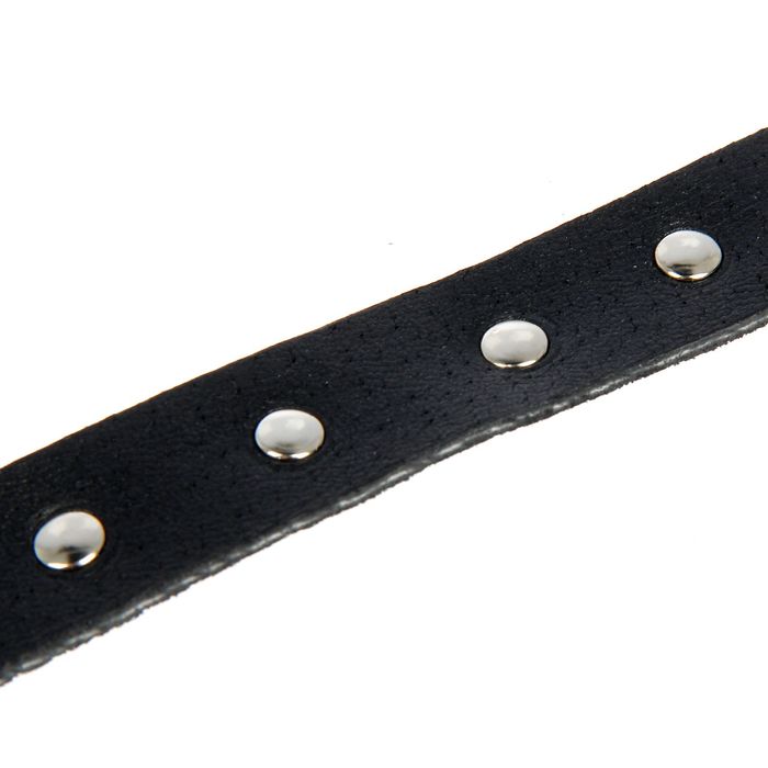 Ошейник кожаный однослойный украшенный, 41 х 2 см