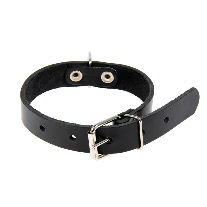 Ошейник кожаный однослойный, 48 х 2,5 см микс цветов