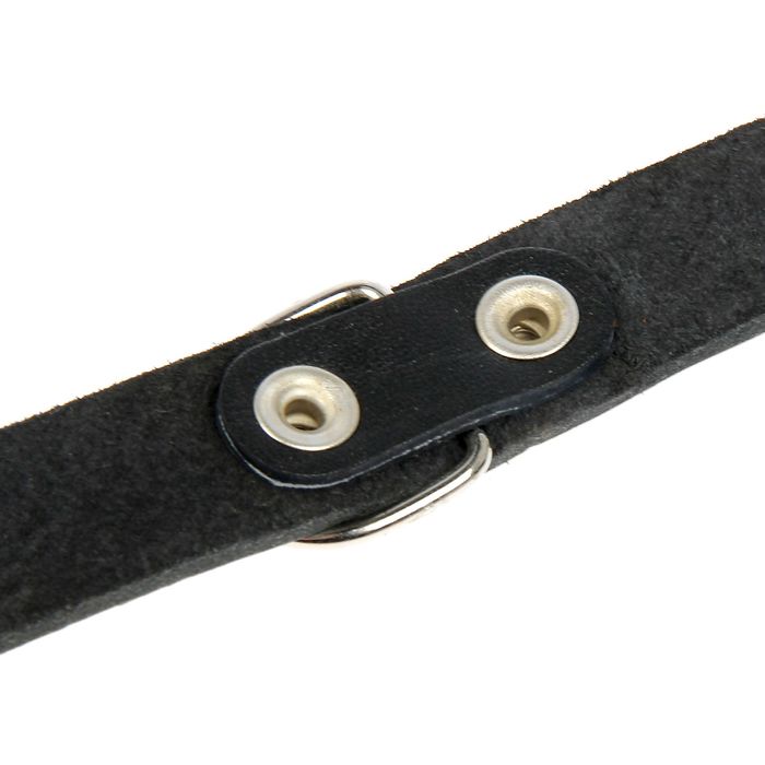 Ошейник кожаный однослойный, 48 х 2,5 см микс цветов