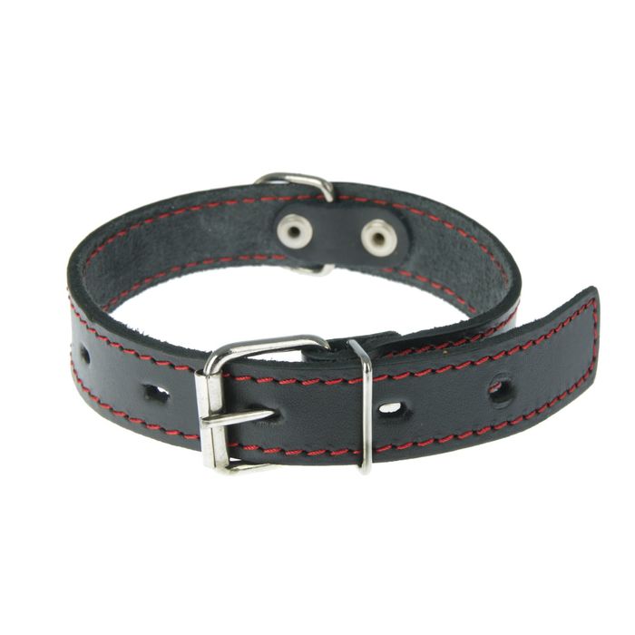 Ошейник кожаный однослойный, 48 х 2,5 см микс цветов