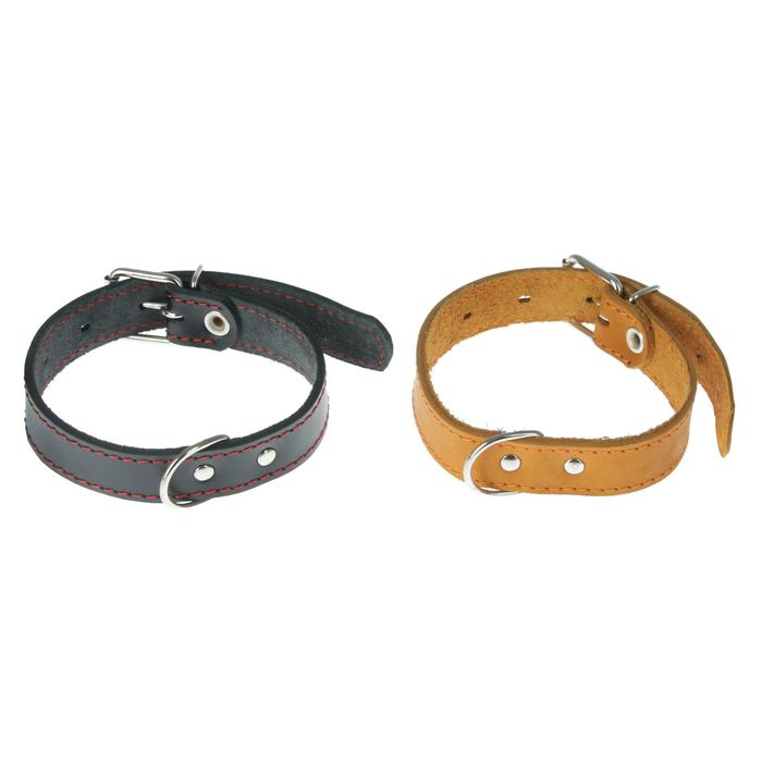 Ошейник кожаный однослойный, 48 х 2,5 см микс цветов