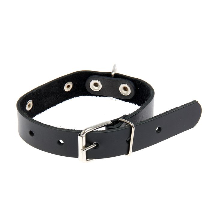 Ошейник кожаный однослойный с табличкой, 48,5 х 2,5 см