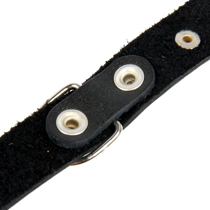 Ошейник кожаный однослойный с табличкой, 48,5 х 2,5 см