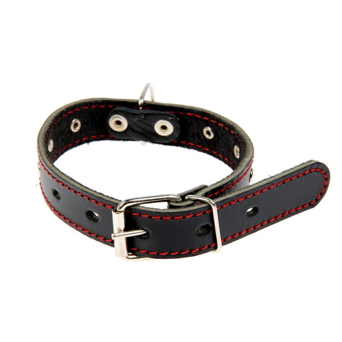 Ошейник кожаный однослойный украшенный, 48 х 2,5 см микс цветов
