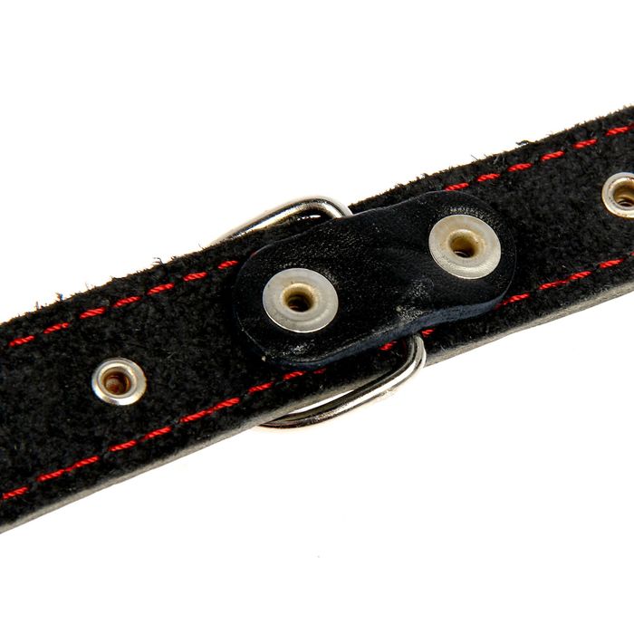 Ошейник кожаный однослойный украшенный, 48 х 2,5 см микс цветов