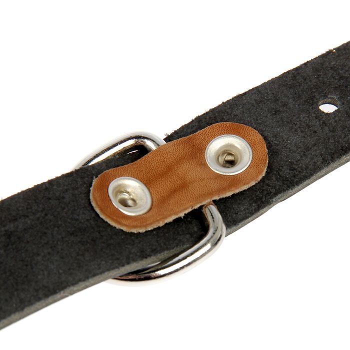 Ошейник кожаный однослойный безразмерный, 57,5 х 3 см