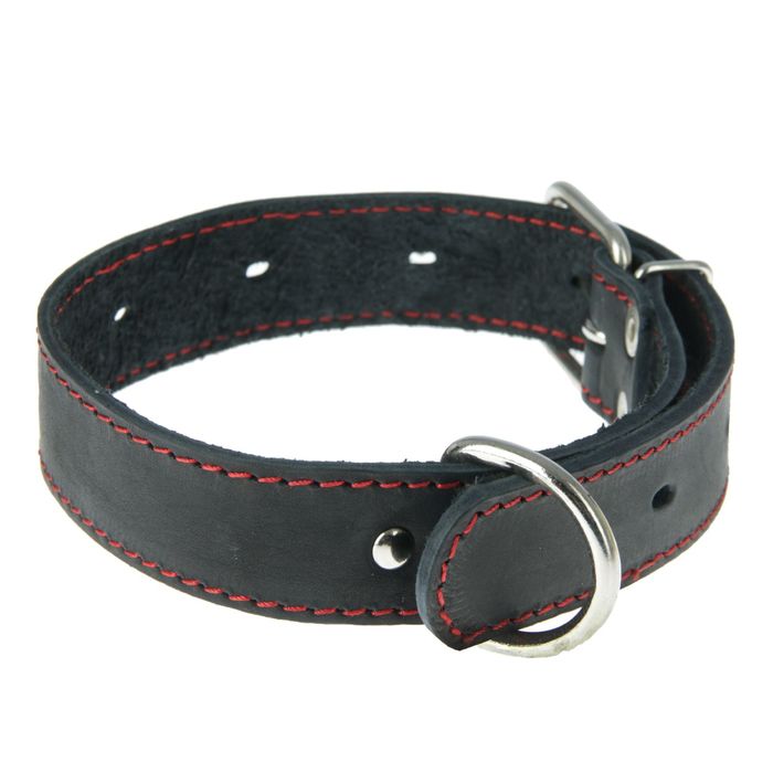 Ошейник кожаный однослойный безразмерный, 57,5 х 3 см