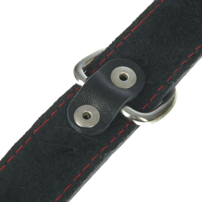 Ошейник кожаный однослойный безразмерный, 57,5 х 3 см