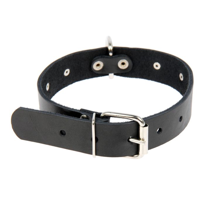 Ошейник кожаный однослойный украшенный, 59 х 3 см