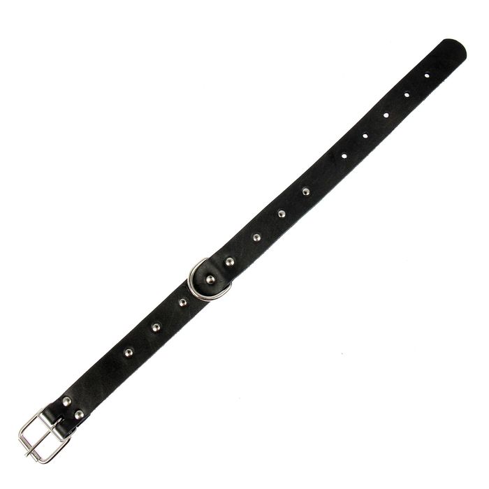 Ошейник кожаный однослойный украшенный, 59 х 3 см