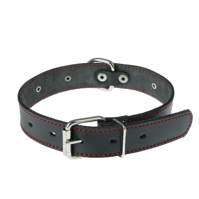 Ошейник кожаный однослойный украшенный, 59 х 3 см