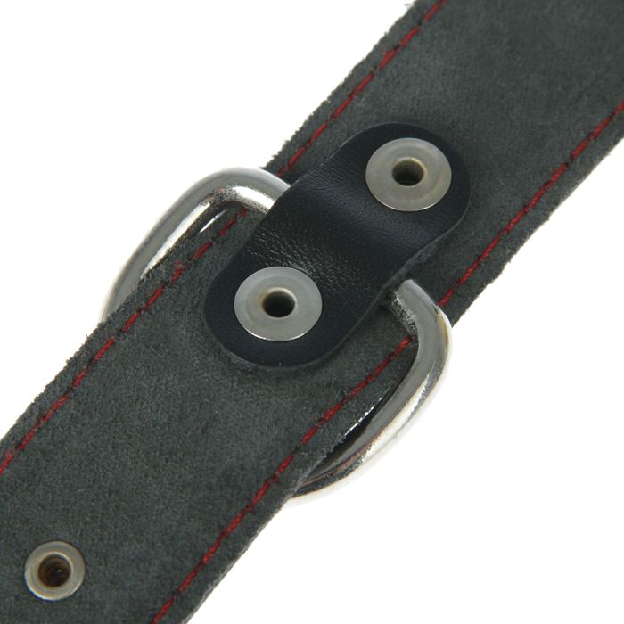 Ошейник кожаный однослойный украшенный, 59 х 3 см