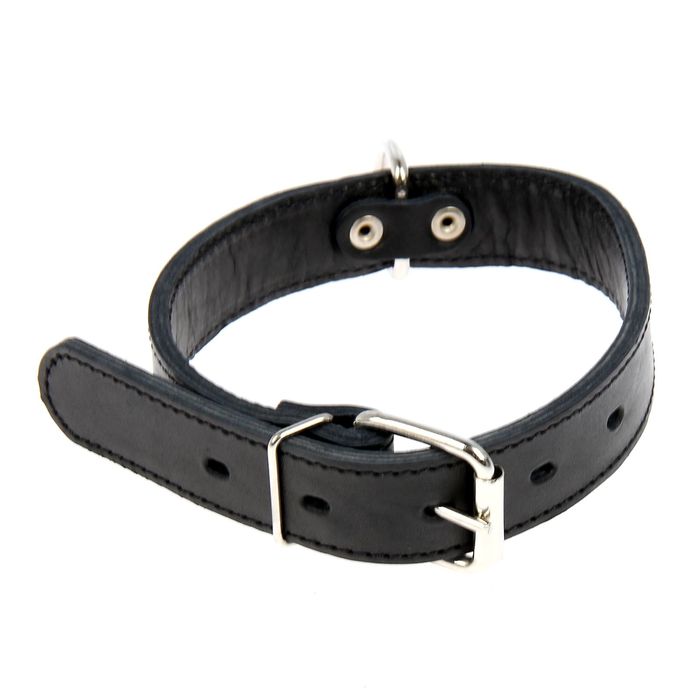 Ошейник кожаный двуслойный, 56,5 х 3 см МИКС