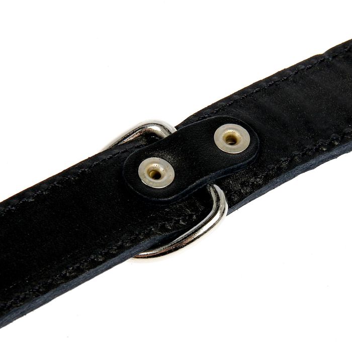 Ошейник кожаный двуслойный, 56,5 х 3 см МИКС