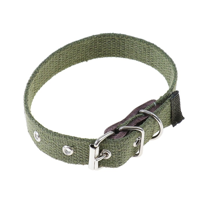 Ошейник брезентовый однослойный, 42 х 2 см МИКС