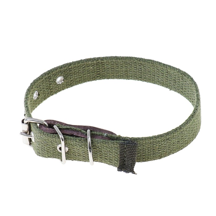 Ошейник брезентовый однослойный, 42 х 2 см МИКС