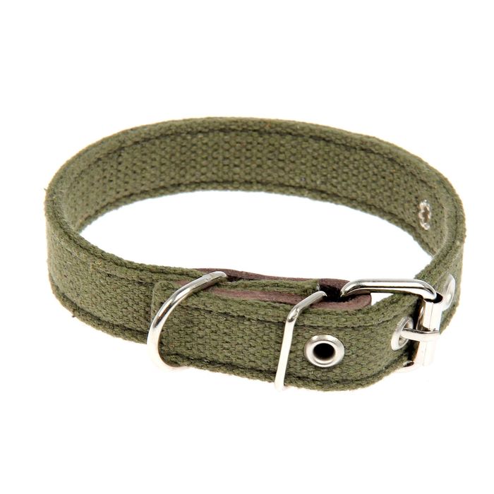 Ошейник брезентовый двуслойный, 42 х 2 см микс цветов