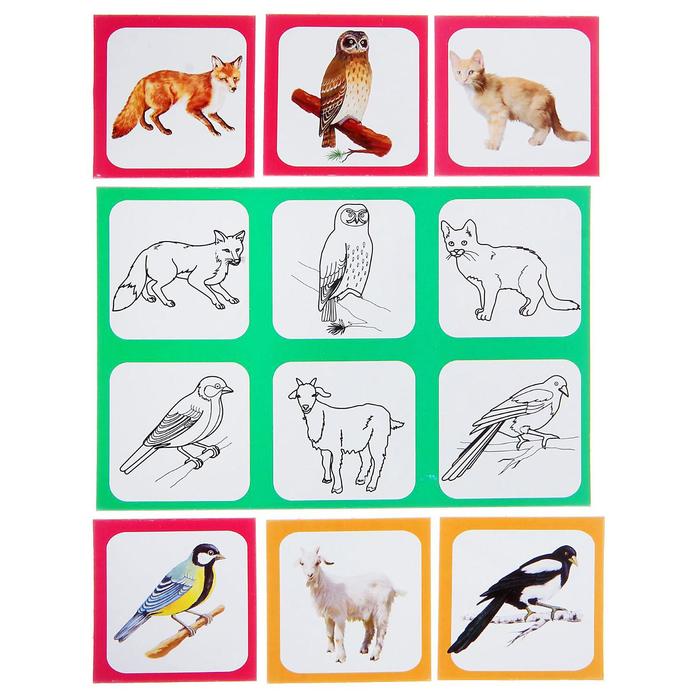 Лото "Птицы, животные"