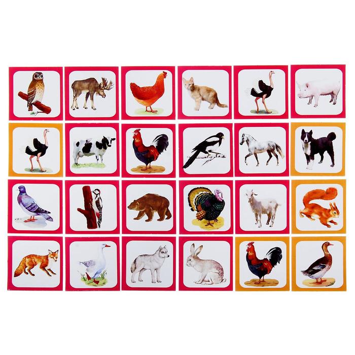 Лото "Птицы, животные"