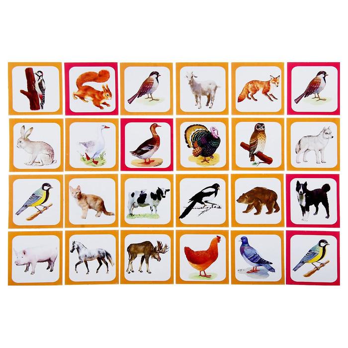 Лото "Птицы, животные"