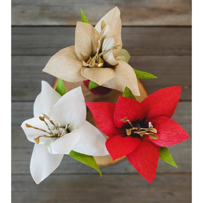 Бумага гофрированная, 977 "Кремовая", 50 см х 2,5 м