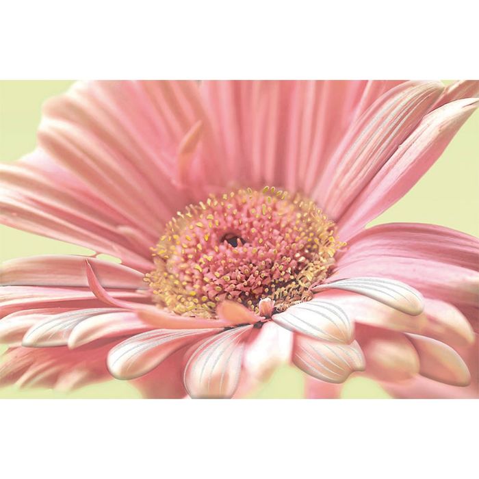 Вставка керамическая Aster AE2N452DT, многоцветная, 300х450 мм