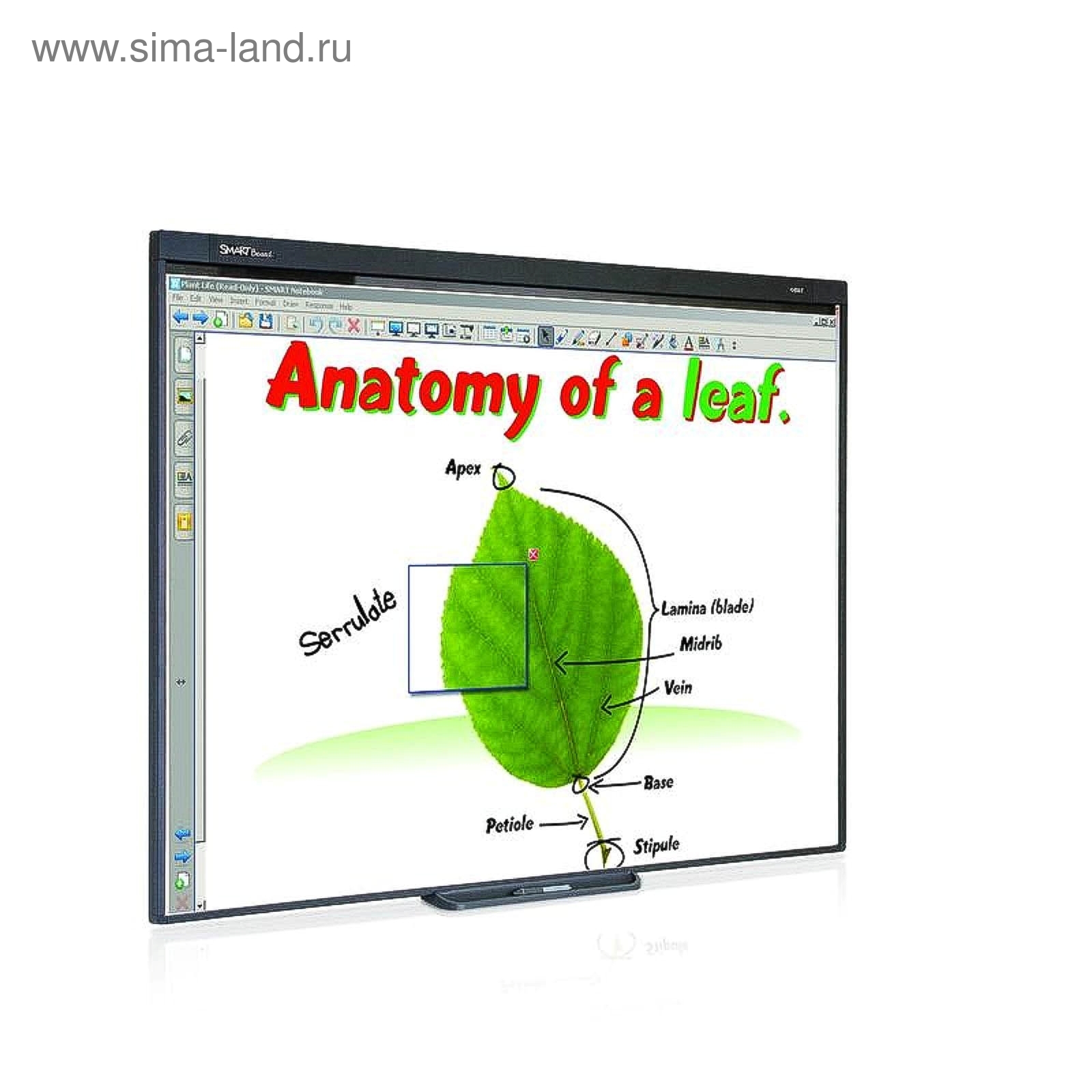 Интерактивная доска smart board sb480 характеристика