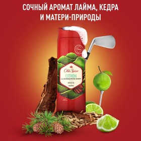 

Шампунь для волос и гель для душа 2 в 1 Old Spice Citron, 250 мл