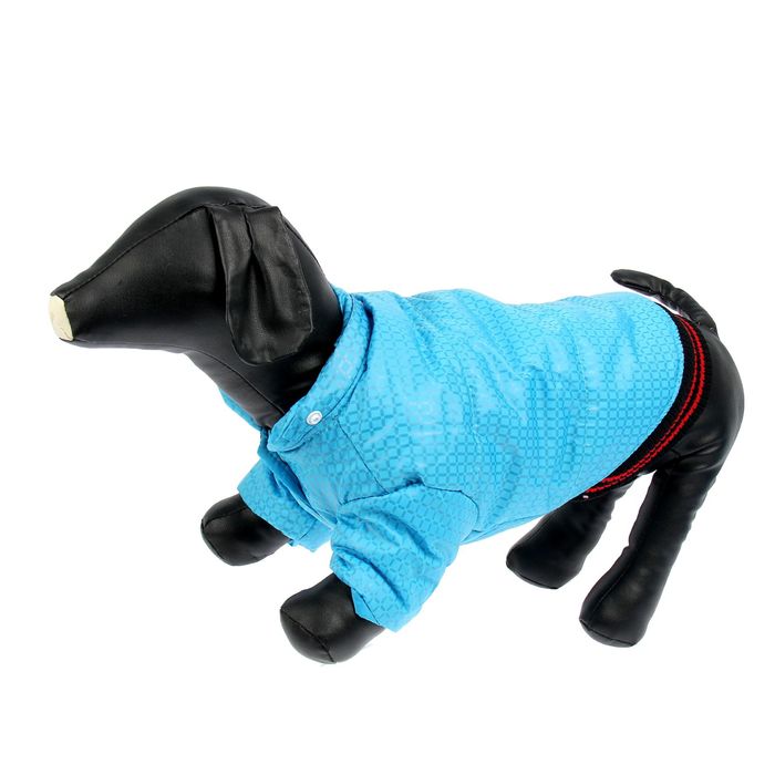 Куртка супертеплая на синтепоне с отстегивающимся капюшоном, размер М, голубая