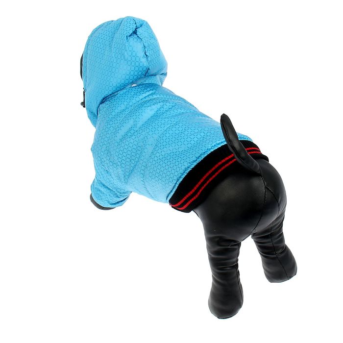 Куртка супертеплая на синтепоне с отстегивающимся капюшоном, размер XL (ДС 44 см, ОГ 37 см), голубая