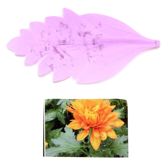 Молд для творчества "Лист хризантемы", МИКС