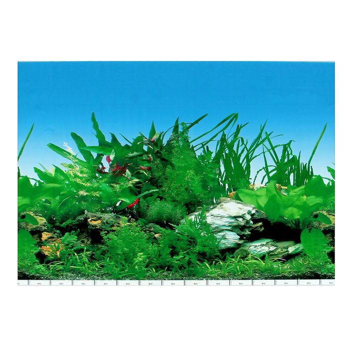 Фон для аквариума, 50 см, рулон 25 м