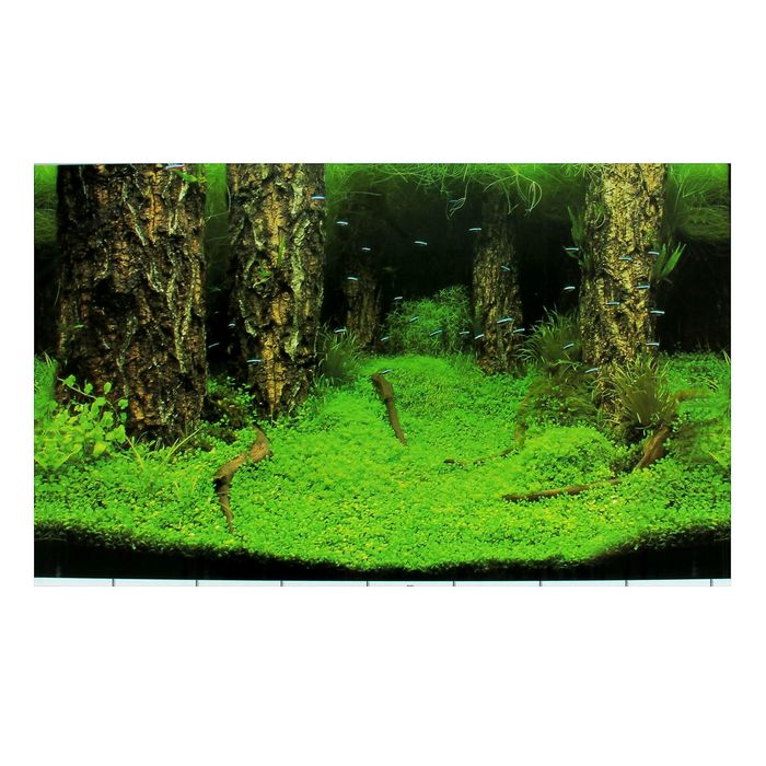 Фон для аквариума, 50 см, рулон 25 м