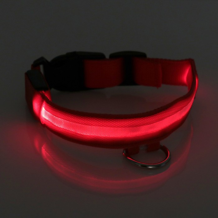 Ошейник с подсветкой, зарядка от USB, до 38 см, 3 режима свечения, красный