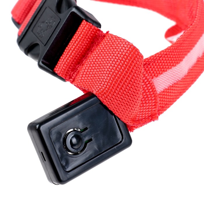 Ошейник с подсветкой, зарядка от USB, до 38 см, 3 режима свечения, красный