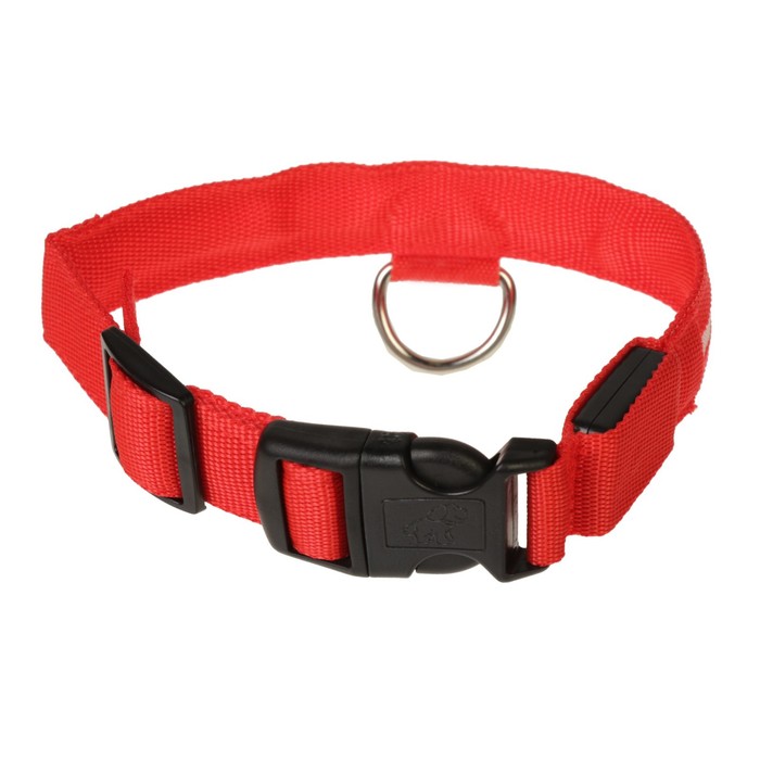 Ошейник с подсветкой, зарядка от USB, до 45 см, 3 режима свечения, красный