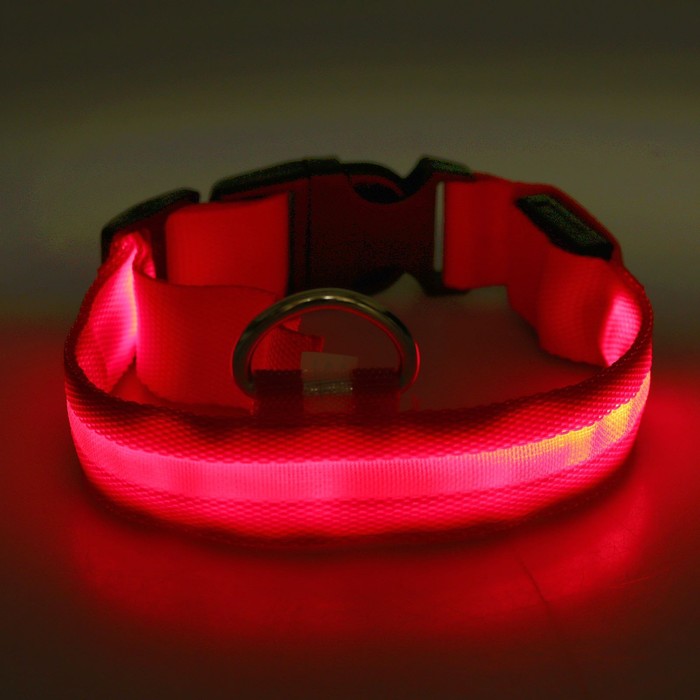 Ошейник с подсветкой, зарядка от USB, до 45 см, 3 режима свечения, красный