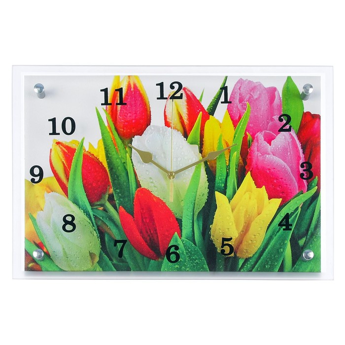 Часы-картина настенные, серия: Цветы, Разноцветные тюльпаны, 25х35 см