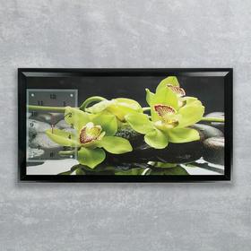Часы-картина настенные, серия: Цветы, "Зеленые орхидеи", 50х100  см, микс