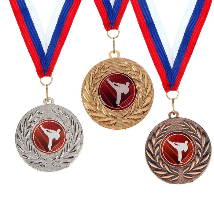 Mедаль тематическая 068 "Каратэ" бронза