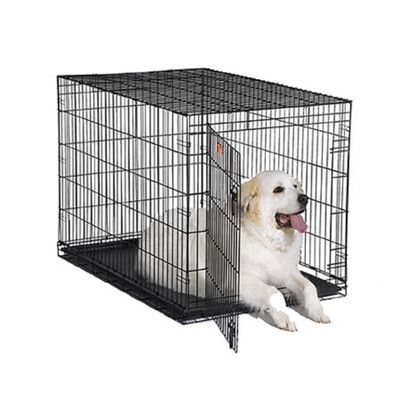 largest kennel