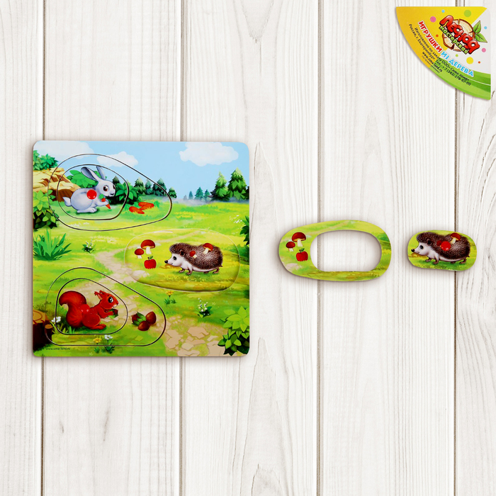 Рамка-вкладыш "Полянка", 6 элементов