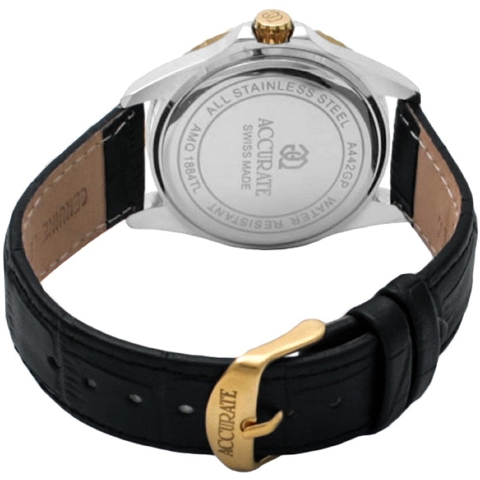 Часы наручные мужские ACCURATE AMQ1884TL black