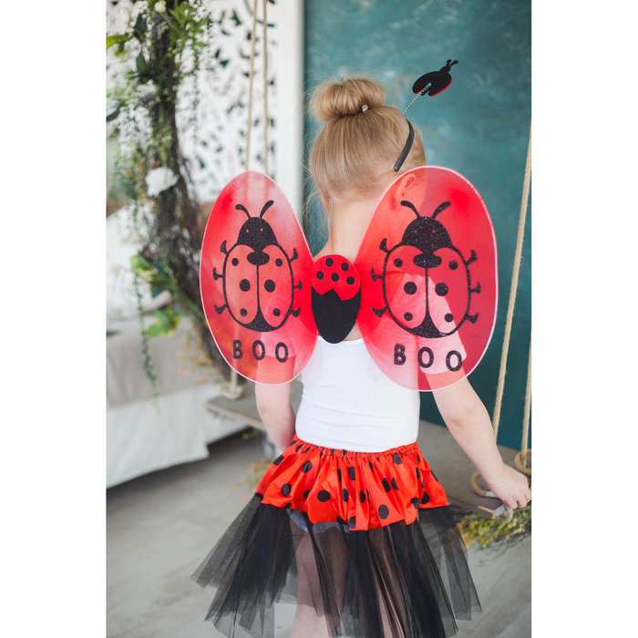 Карнавальный набор "Божья коровка", 4 предмета: ободок, жезл, крылья, юбка, 3-4 года