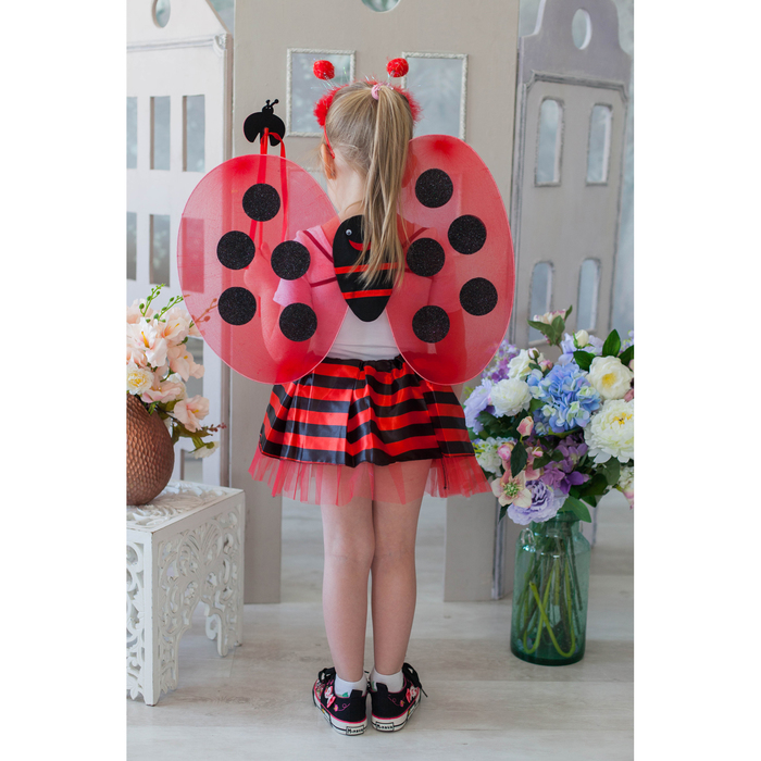 Карнавальный набор "Божья коровка", 4 предмета: ободок, жезл, крылья, юбка, 3-4 года