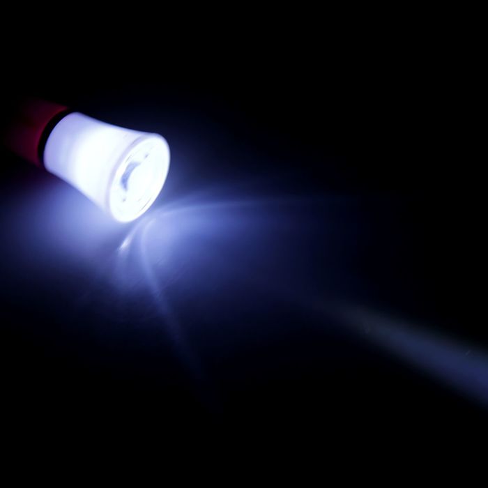 Брелок световой "Моя светлость", МИКС