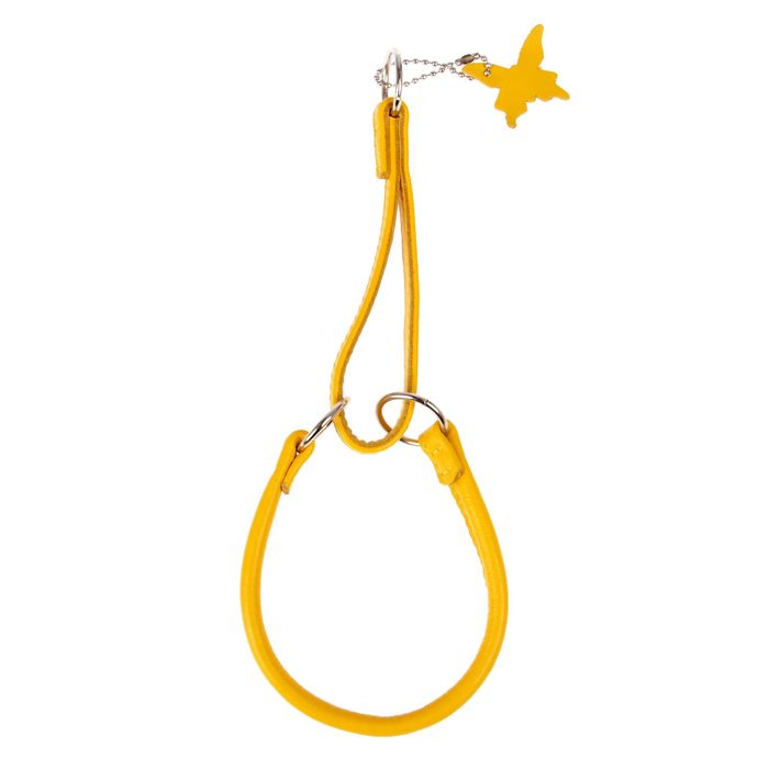 Ошейник-удавка CoLLaR Glomour, 35 х 0,8 см, желтый